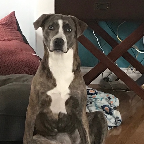 Meet your Posher, Belinda - Picture 6 of 6